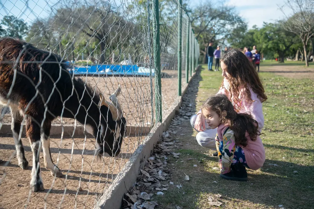 granja (1)